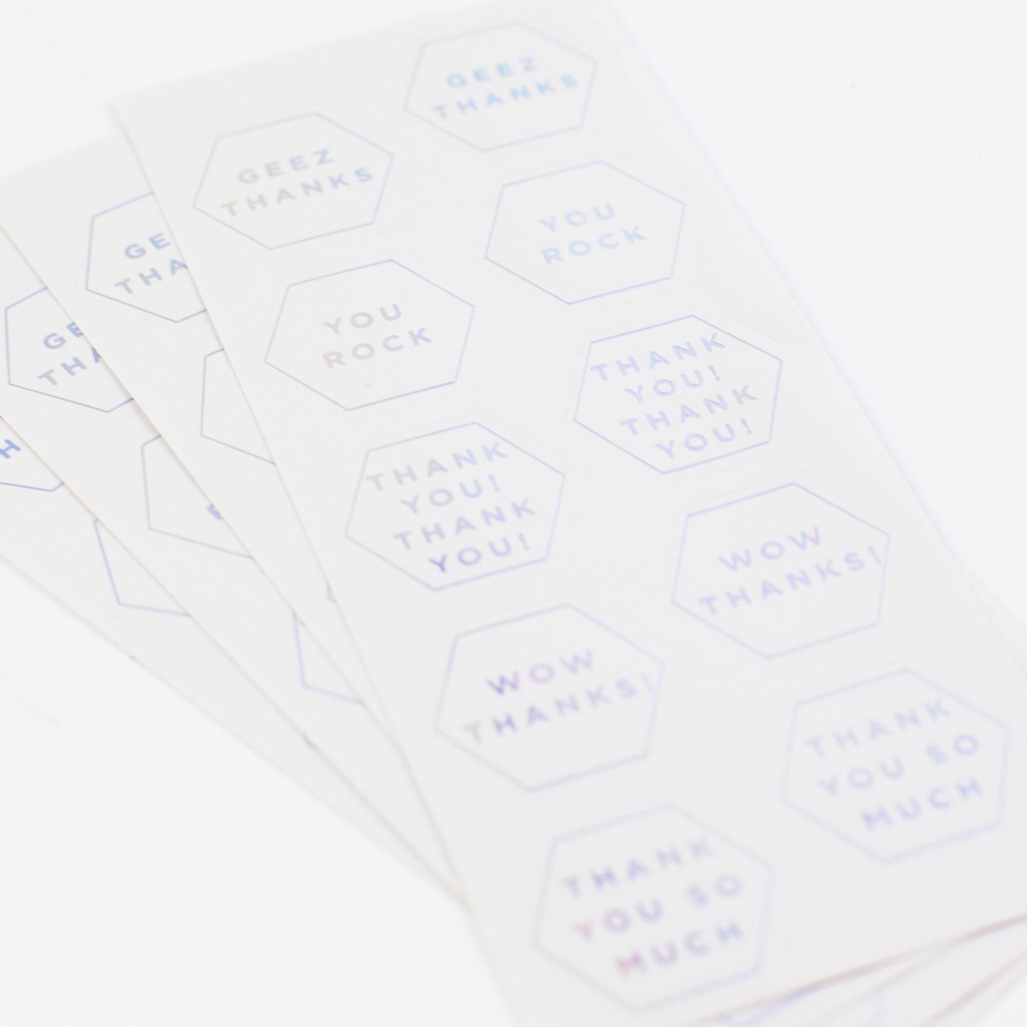Thanks Envelope Seals by Recollections™